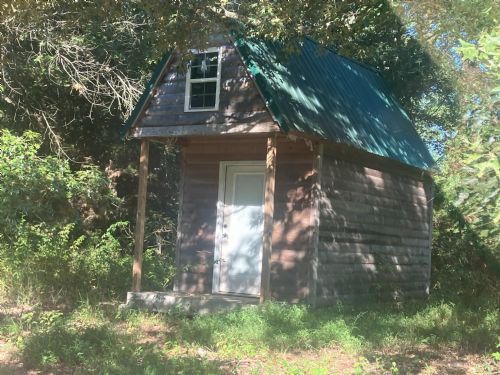Lewis Auction